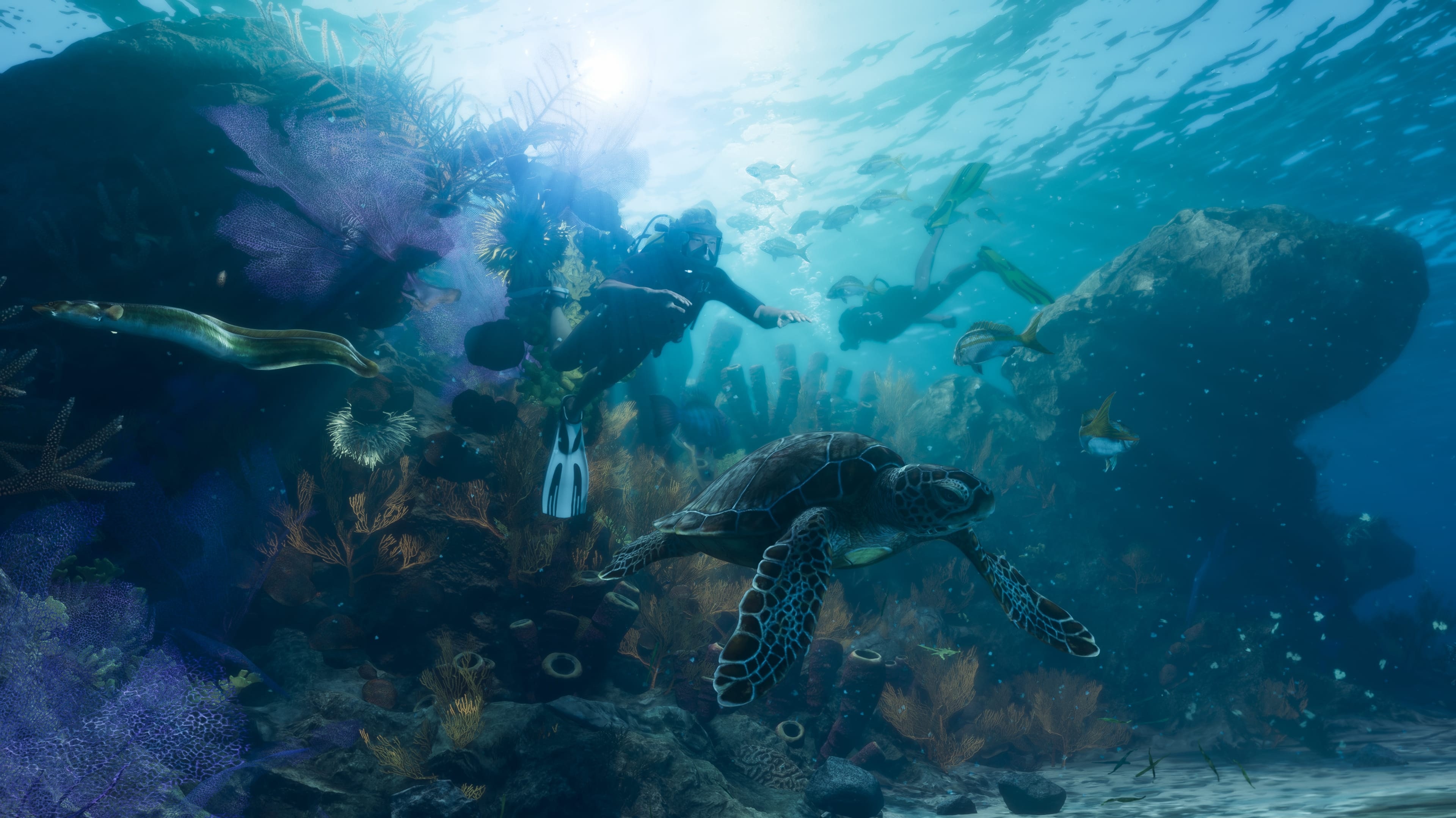 Plongeurs au-dessus d'un récif de corail, une tortue de mer passant au premier plan